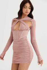 Rose Print Corset Mini Dress